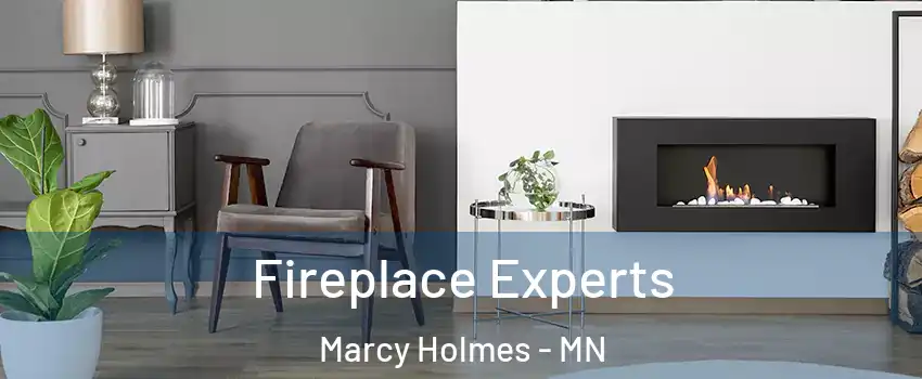 Fireplace Experts Marcy Holmes - MN