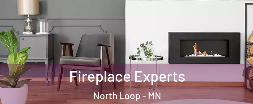 Fireplace Experts North Loop - MN