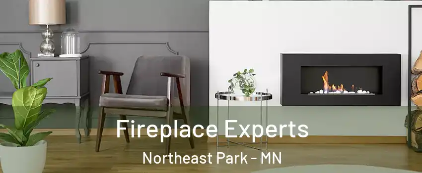 Fireplace Experts Northeast Park - MN