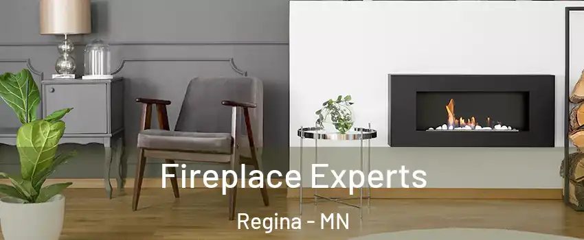 Fireplace Experts Regina - MN