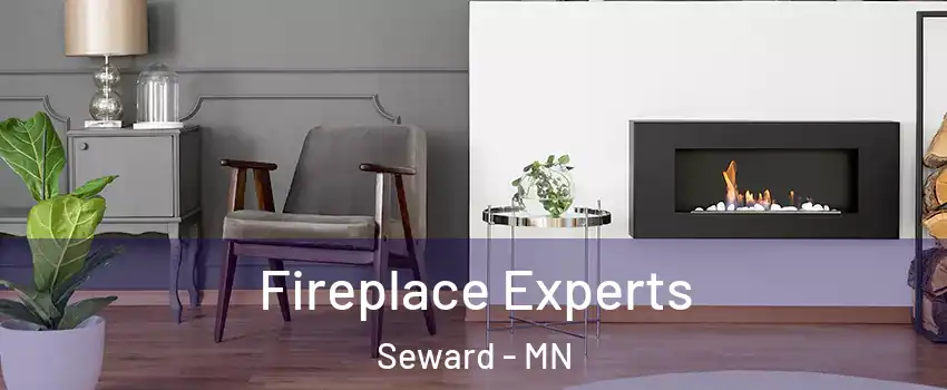 Fireplace Experts Seward - MN