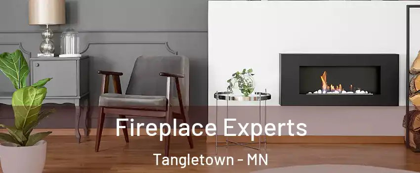 Fireplace Experts Tangletown - MN