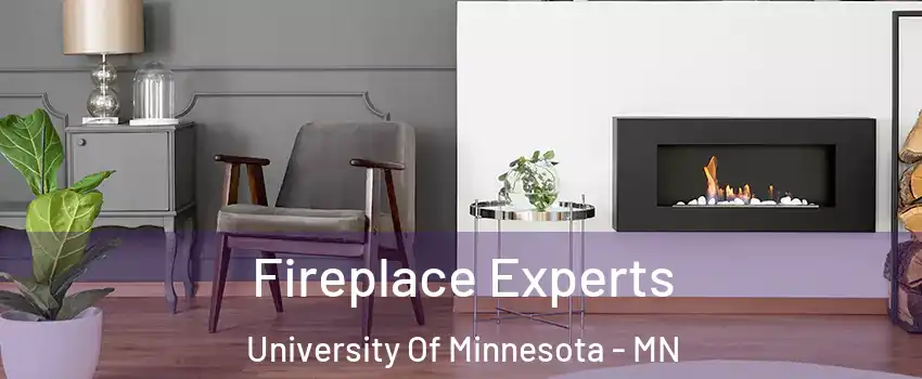 Fireplace Experts University Of Minnesota - MN