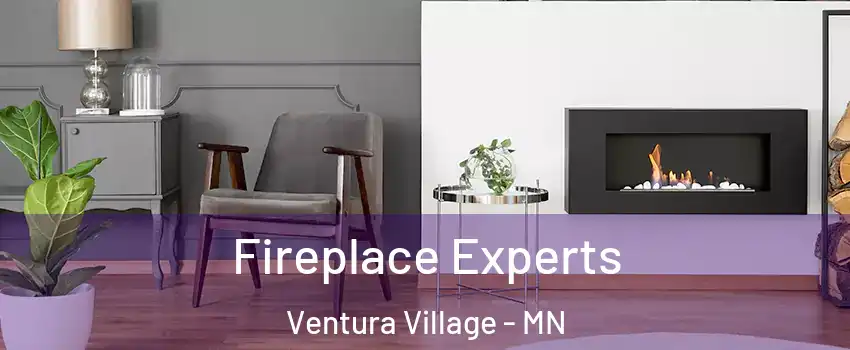 Fireplace Experts Ventura Village - MN