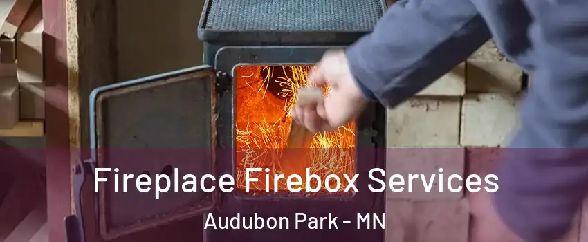 Fireplace Firebox Services Audubon Park - MN