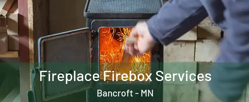 Fireplace Firebox Services Bancroft - MN