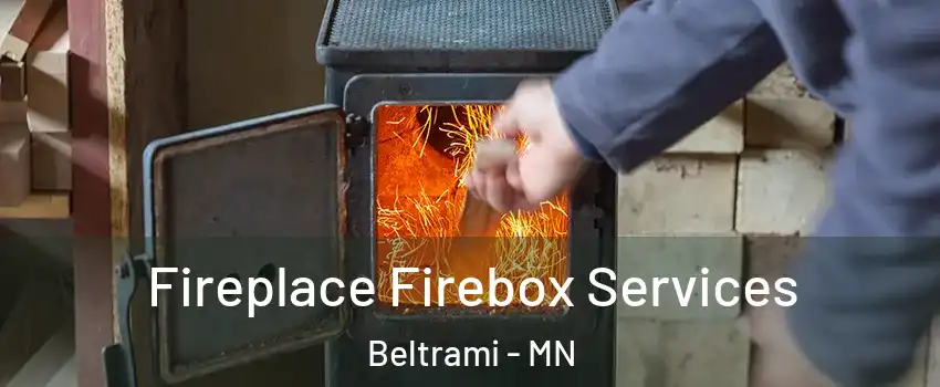 Fireplace Firebox Services Beltrami - MN