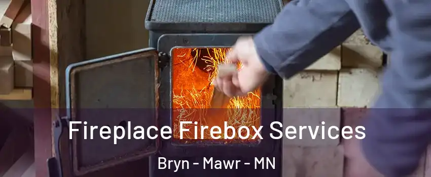 Fireplace Firebox Services Bryn - Mawr - MN