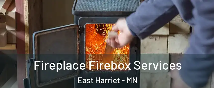 Fireplace Firebox Services East Harriet - MN