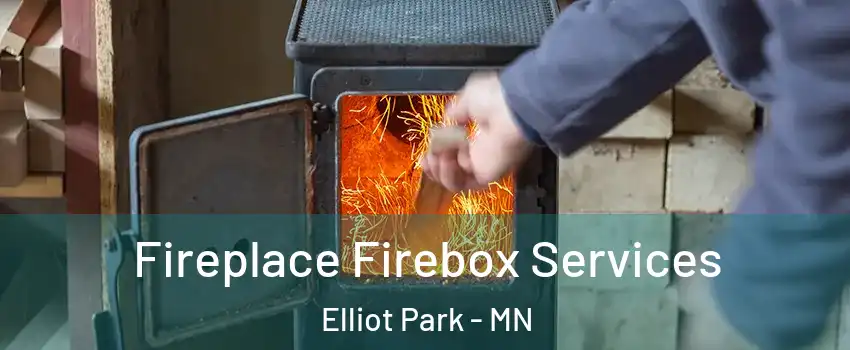 Fireplace Firebox Services Elliot Park - MN