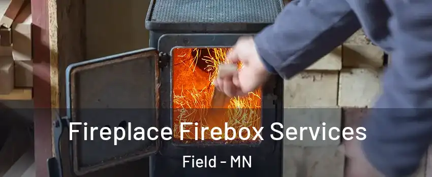 Fireplace Firebox Services Field - MN