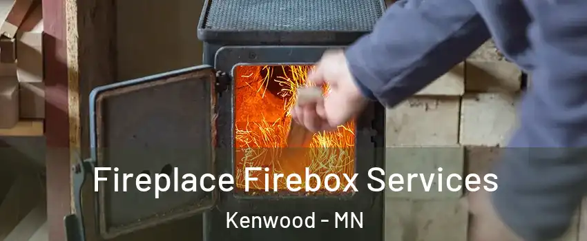 Fireplace Firebox Services Kenwood - MN