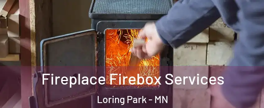 Fireplace Firebox Services Loring Park - MN