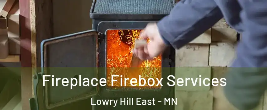 Fireplace Firebox Services Lowry Hill East - MN