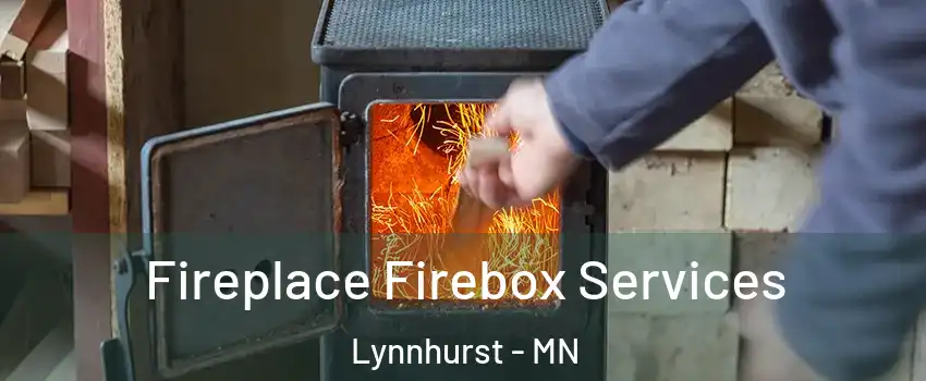 Fireplace Firebox Services Lynnhurst - MN