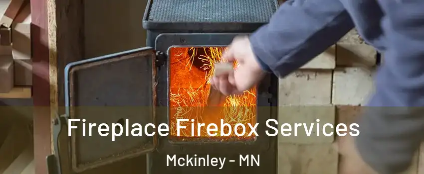 Fireplace Firebox Services Mckinley - MN