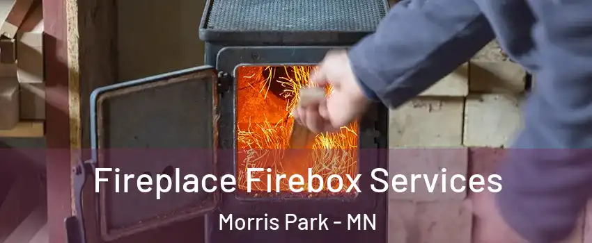 Fireplace Firebox Services Morris Park - MN