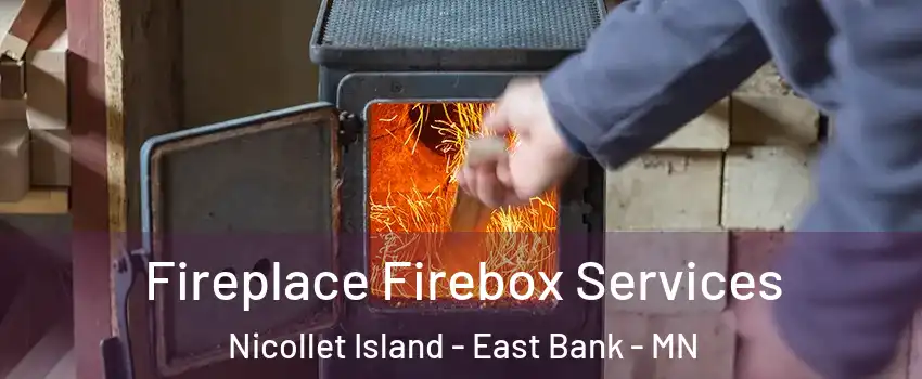 Fireplace Firebox Services Nicollet Island - East Bank - MN