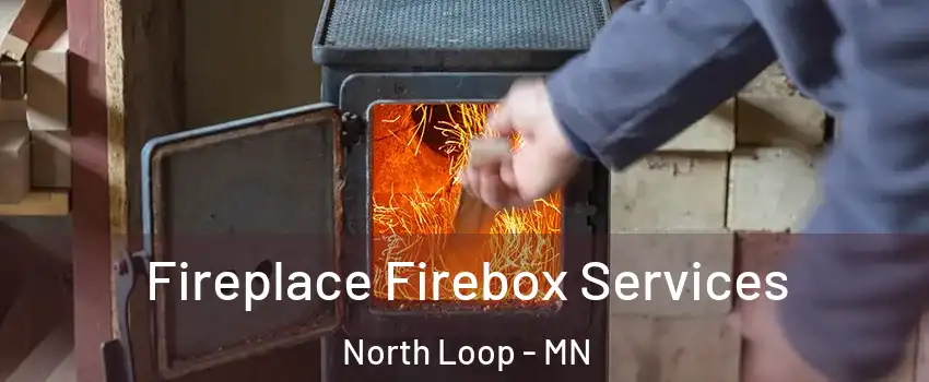 Fireplace Firebox Services North Loop - MN