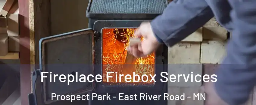Fireplace Firebox Services Prospect Park - East River Road - MN