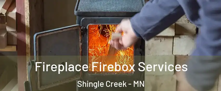 Fireplace Firebox Services Shingle Creek - MN