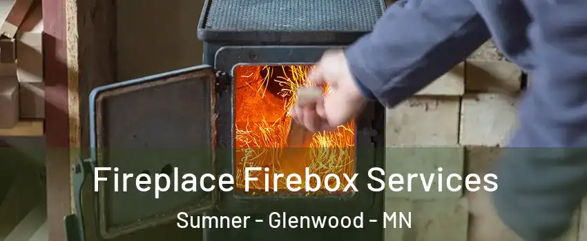 Fireplace Firebox Services Sumner - Glenwood - MN