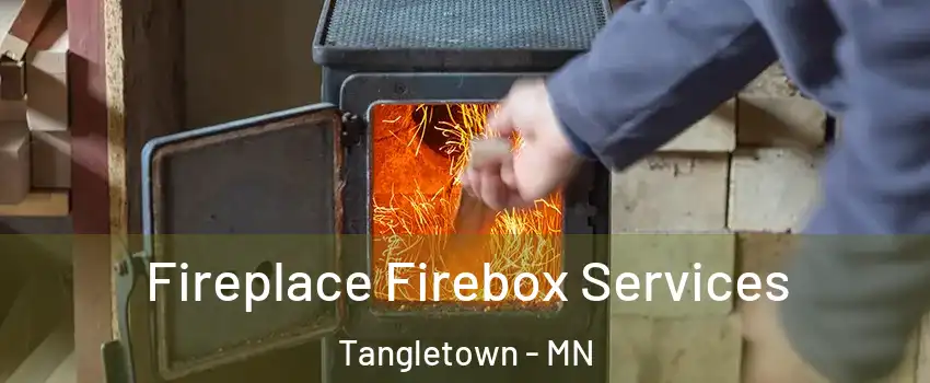 Fireplace Firebox Services Tangletown - MN