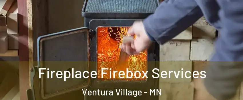 Fireplace Firebox Services Ventura Village - MN