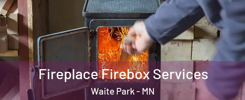 Fireplace Firebox Services Waite Park - MN