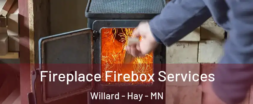 Fireplace Firebox Services Willard - Hay - MN