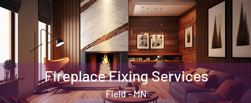 Fireplace Fixing Services Field - MN