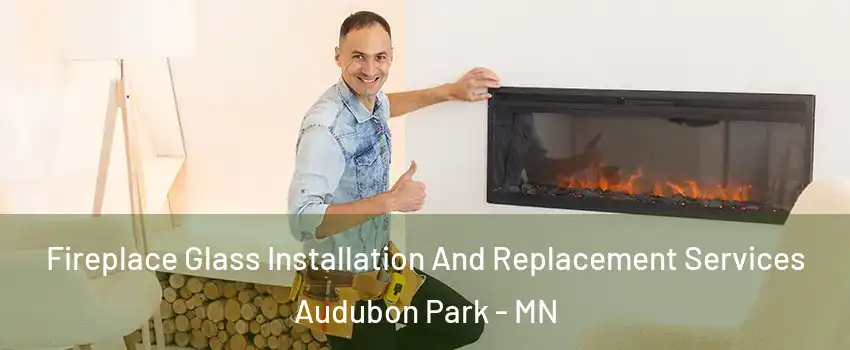 Fireplace Glass Installation And Replacement Services Audubon Park - MN