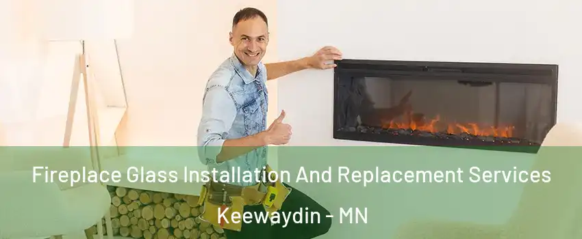 Fireplace Glass Installation And Replacement Services Keewaydin - MN
