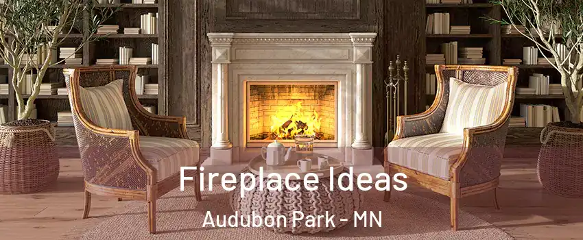 Fireplace Ideas Audubon Park - MN