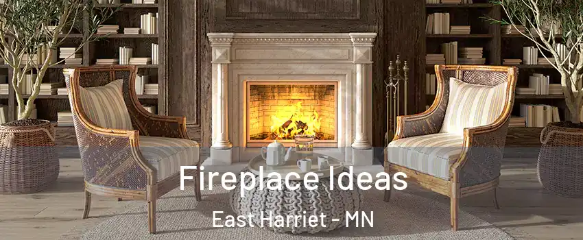 Fireplace Ideas East Harriet - MN