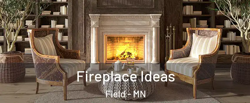 Fireplace Ideas Field - MN