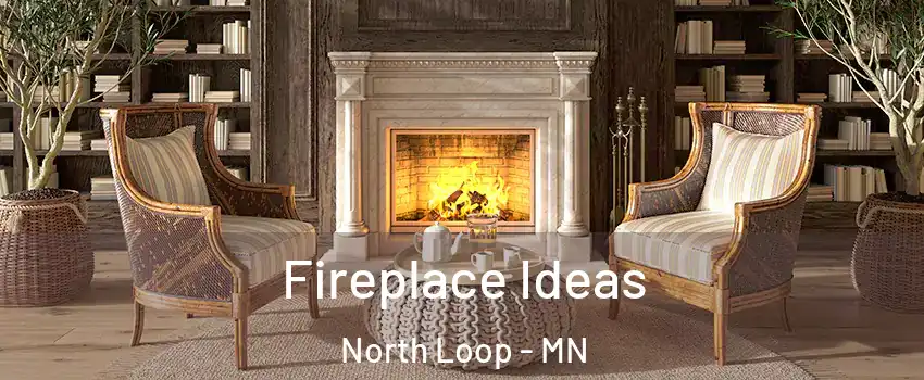 Fireplace Ideas North Loop - MN