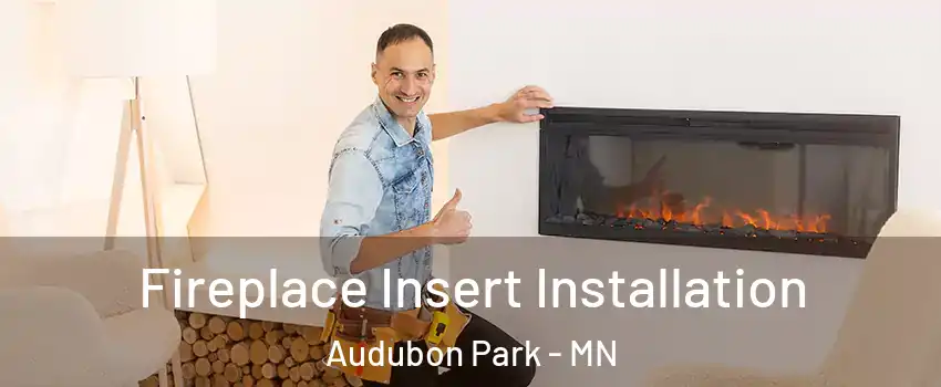 Fireplace Insert Installation Audubon Park - MN