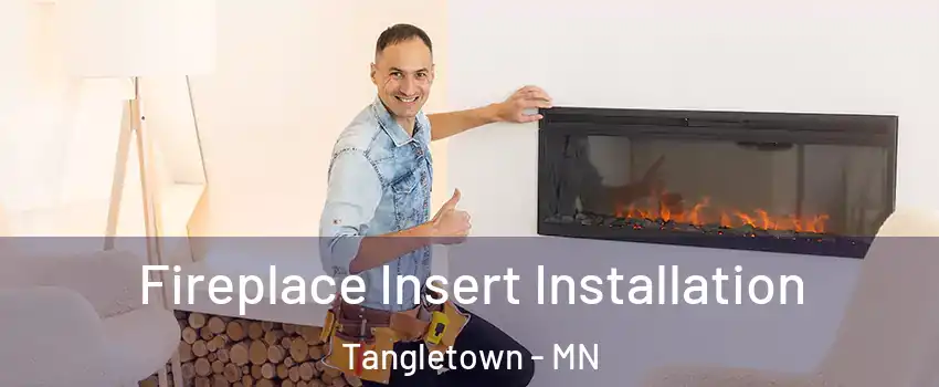 Fireplace Insert Installation Tangletown - MN