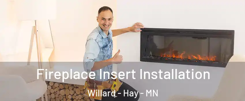 Fireplace Insert Installation Willard - Hay - MN