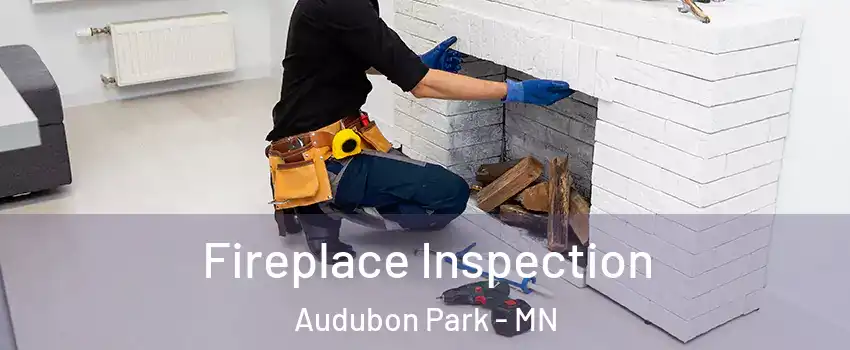 Fireplace Inspection Audubon Park - MN