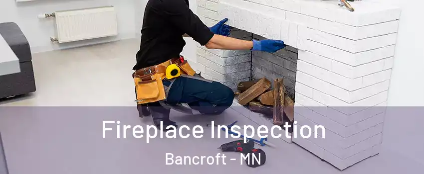 Fireplace Inspection Bancroft - MN
