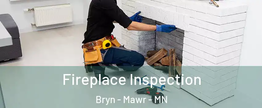 Fireplace Inspection Bryn - Mawr - MN