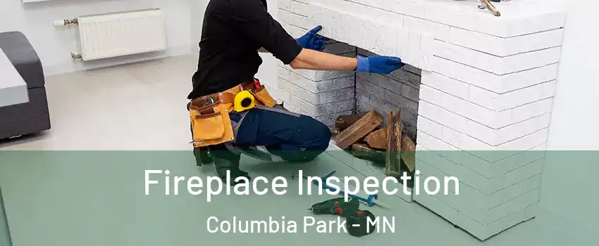 Fireplace Inspection Columbia Park - MN