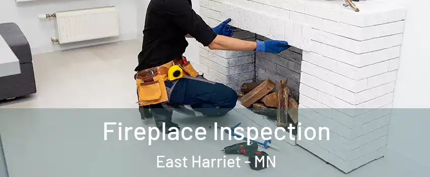 Fireplace Inspection East Harriet - MN