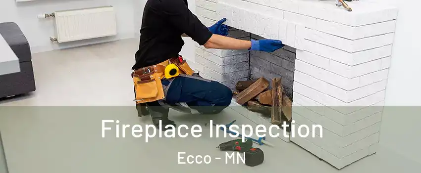 Fireplace Inspection Ecco - MN