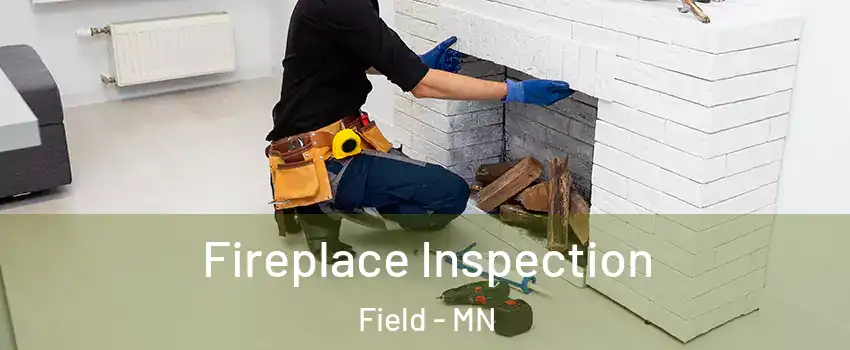 Fireplace Inspection Field - MN
