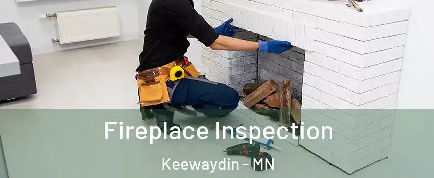 Fireplace Inspection Keewaydin - MN