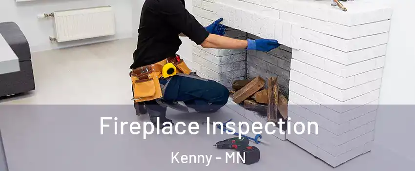 Fireplace Inspection Kenny - MN