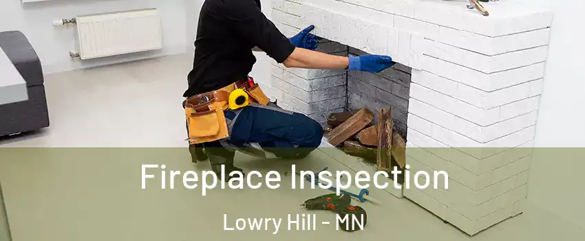 Fireplace Inspection Lowry Hill - MN
